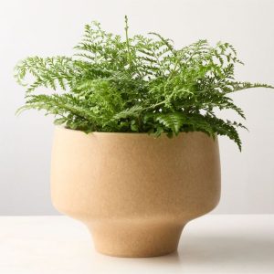 Planter "Japandi Harmony"